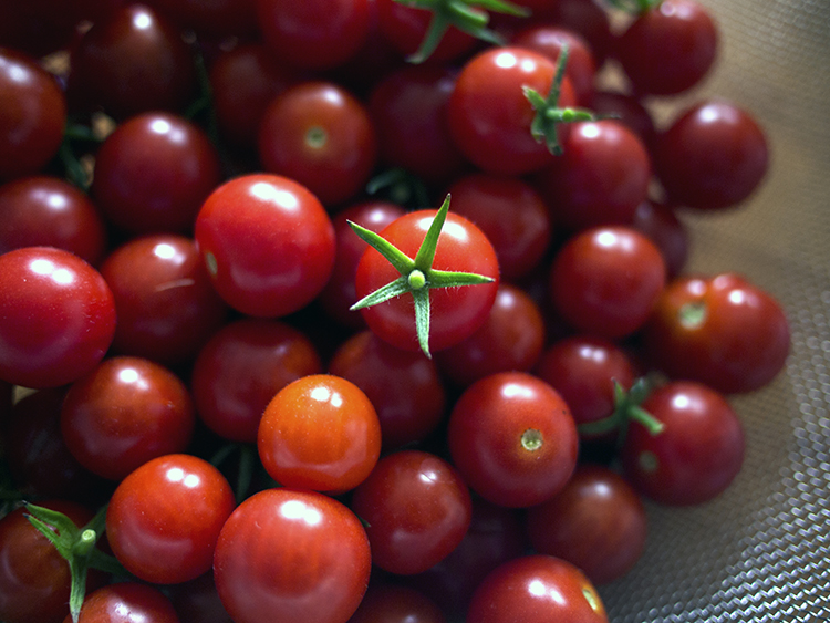 Sauce tomate de quartier