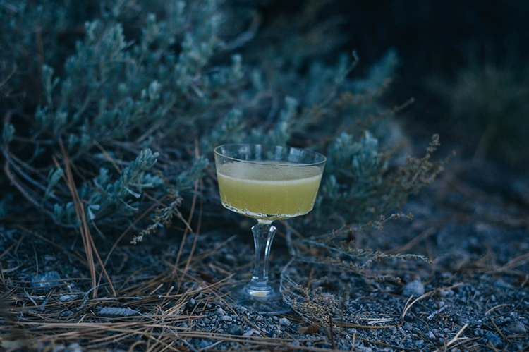 Cocktail d’automne no. 8 : Le joyeux cadavre