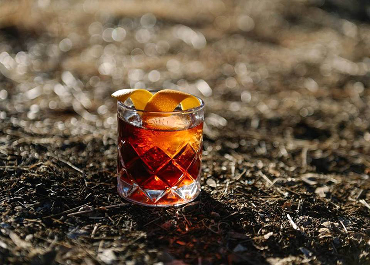 Negroni au café